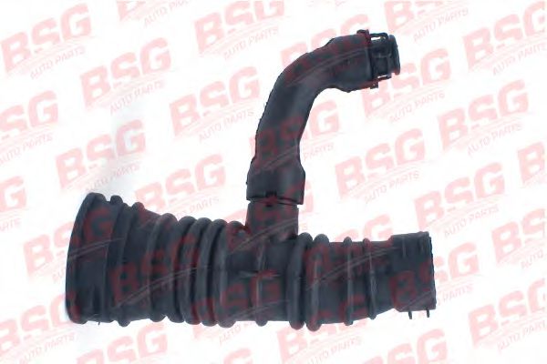 BSG  30-720-063  