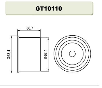 GT10110  