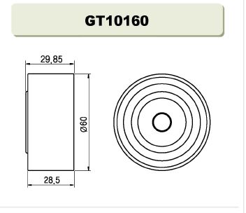 GT10160  