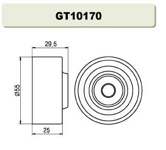 GT10170  