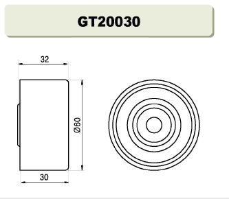 GT20030  