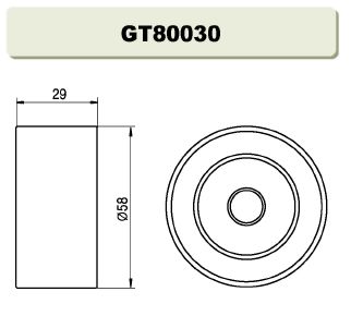 GT80030  