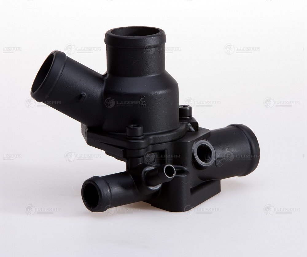 LT0118  