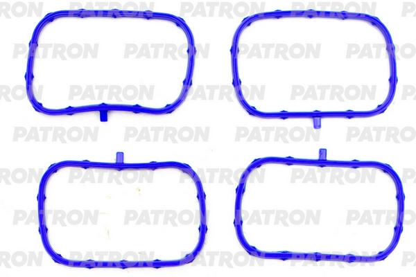 PG1-5016  