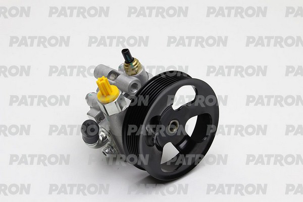 PPS1111  