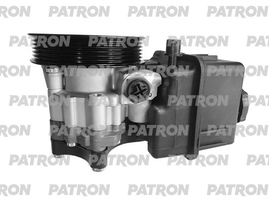 PPS166  