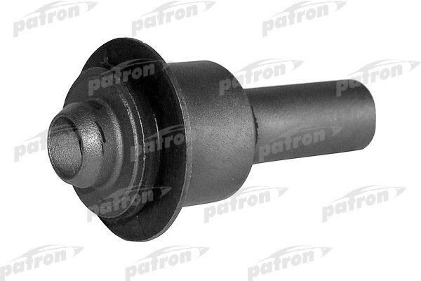 PSE10021  