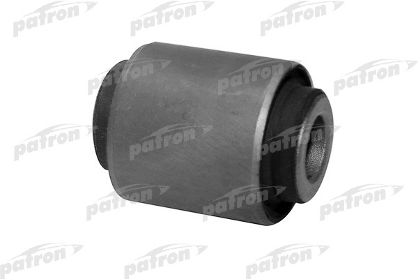 PSE10027  