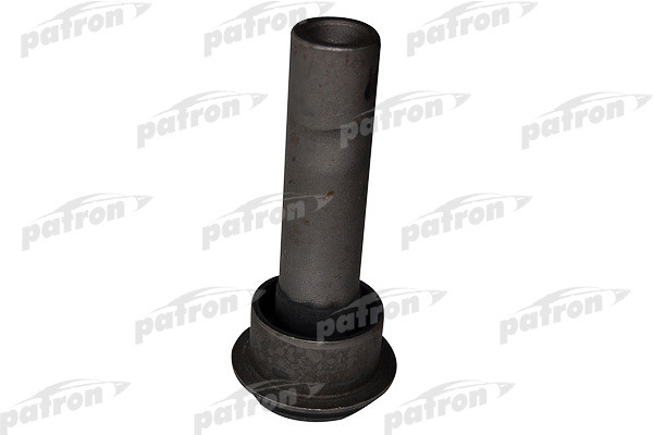 PSE10028  