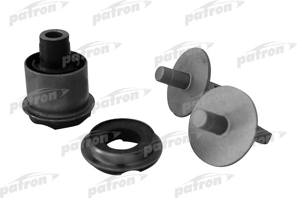 PSE10210  