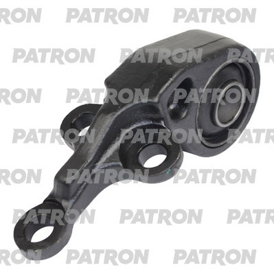 PSE10266  