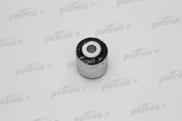PSE10310  