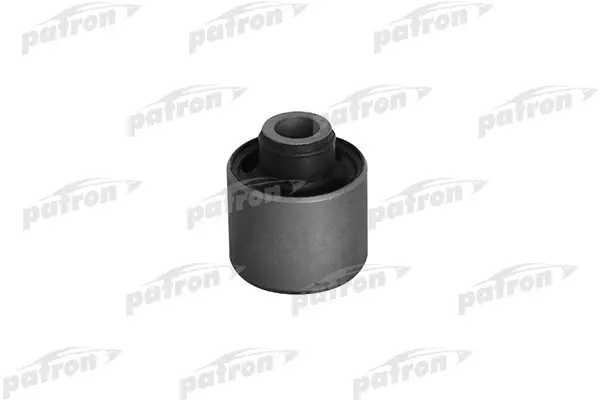 PSE10333  