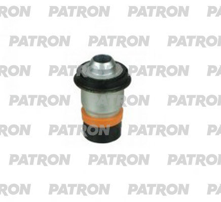 PSE10376  