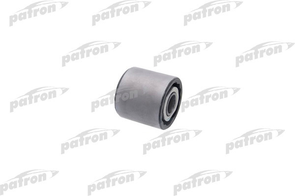 PSE10450  