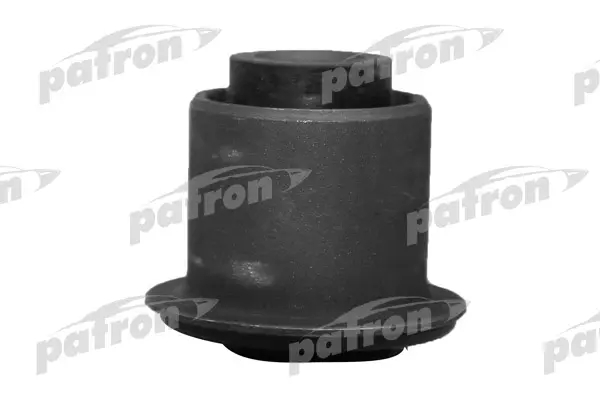 PSE10571  