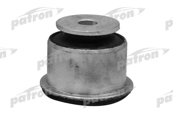 PSE10613  