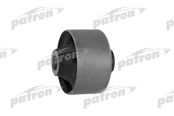 PSE10651  
