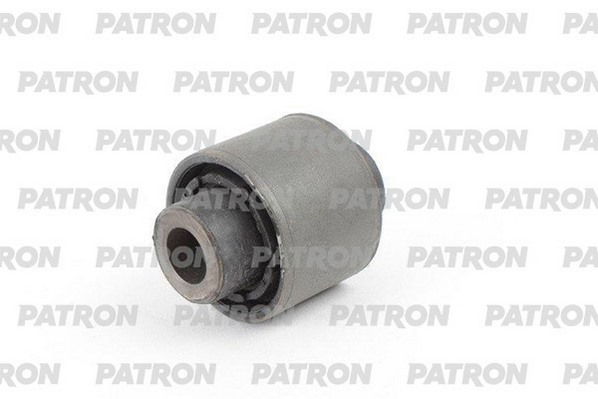 PSE1081  