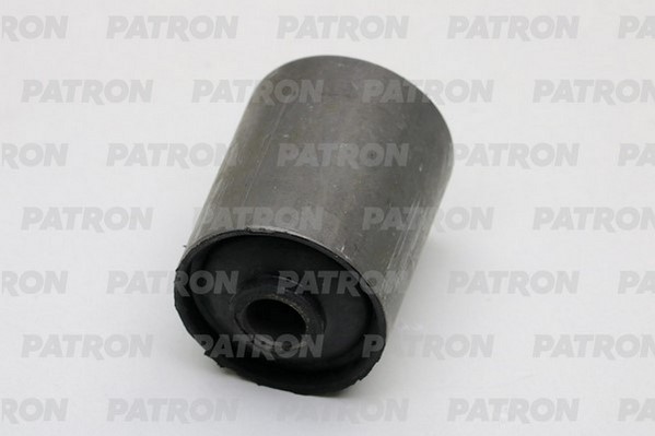 PSE10880  