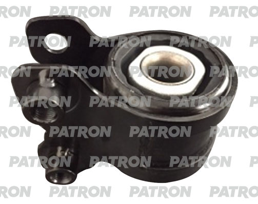 PSE11679  