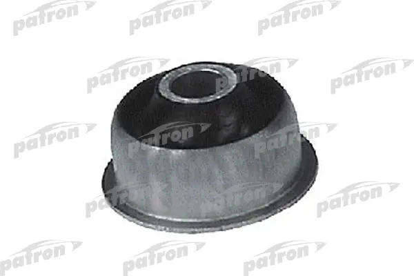 PSE1206  