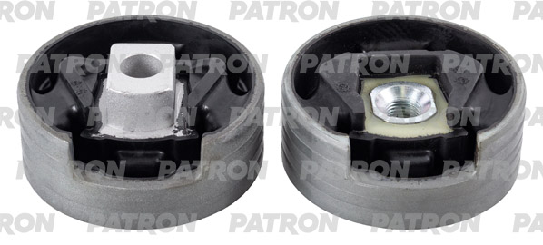 PSE12095  