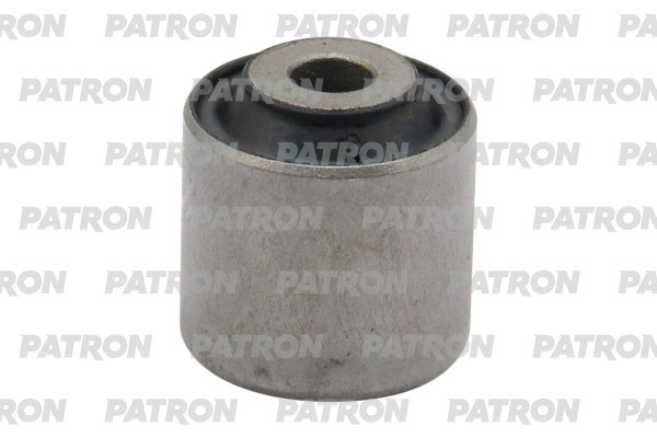 PSE1302  