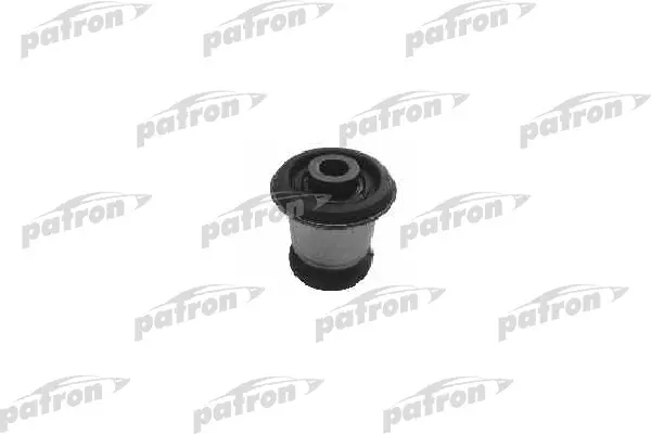 PSE1541  