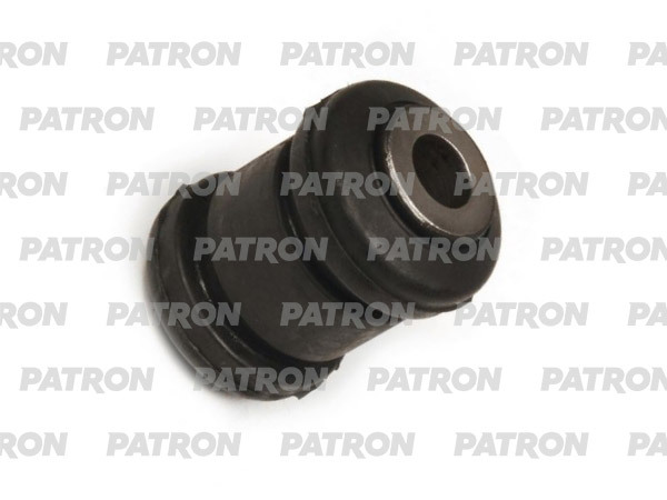 PSE1561  