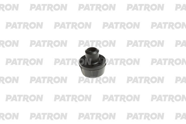 PSE23536  