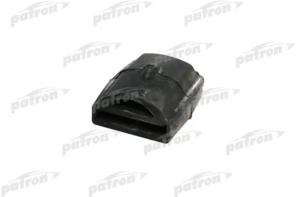 PSE2489  