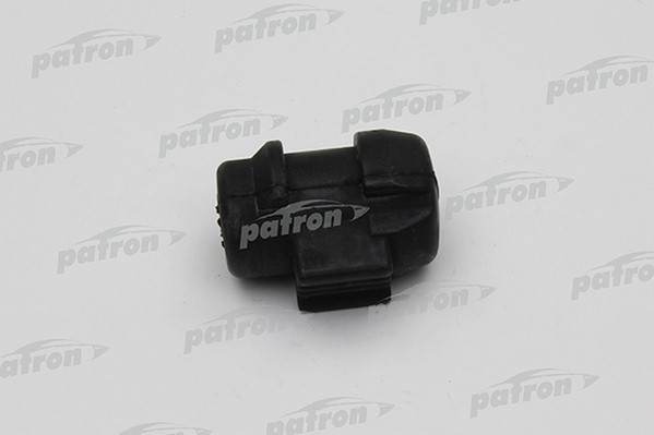 PSE2583  