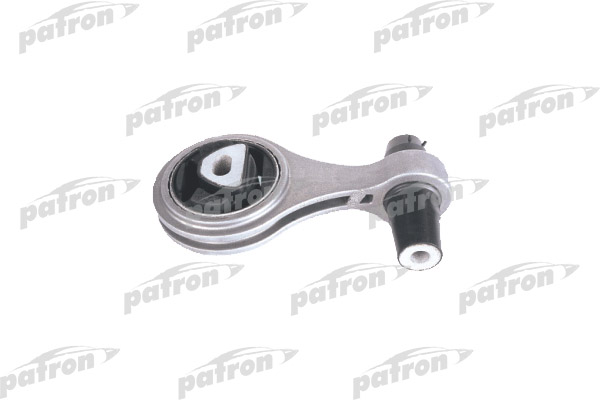 PSE30056  
