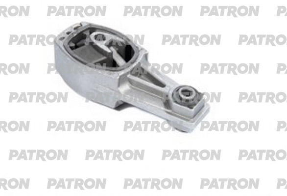 PSE30296  