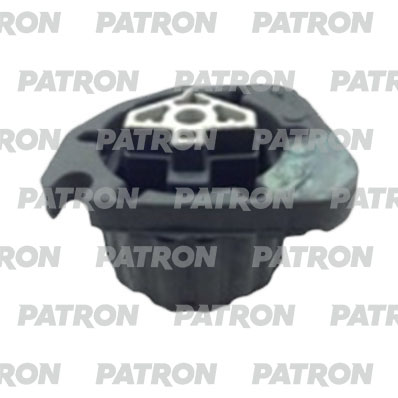 PSE30420  