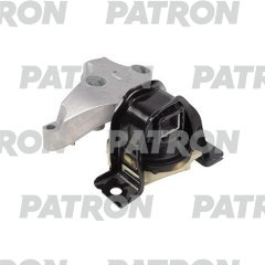 PSE30461  