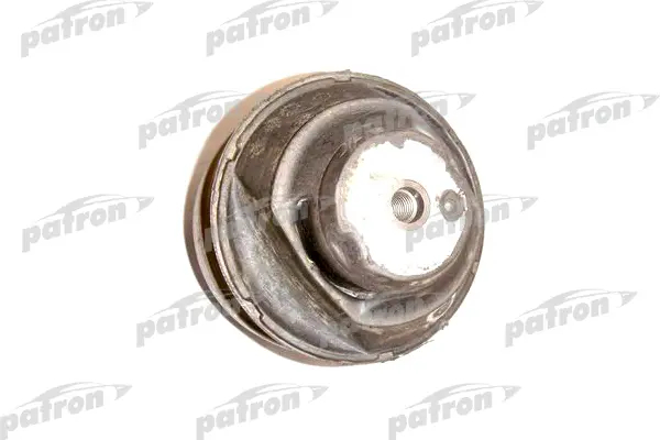 PSE3113  