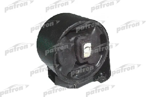 PSE3129  