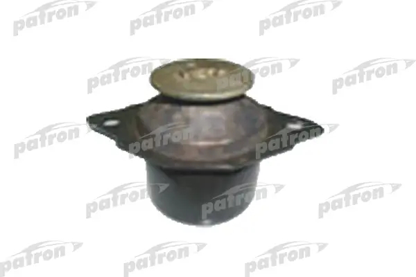 PSE3130  