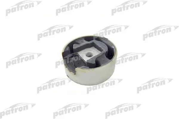 PSE3374  