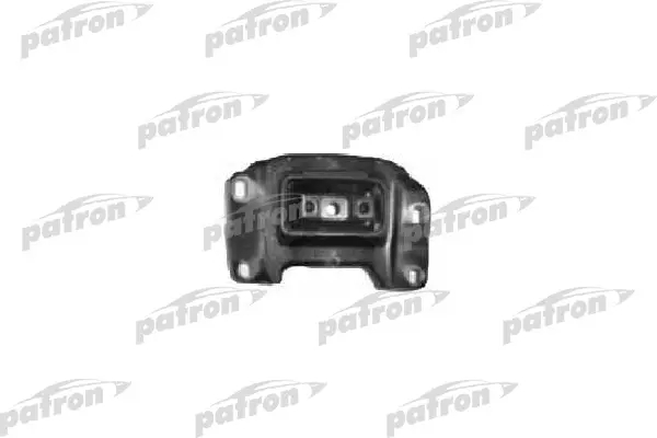 PSE3390  