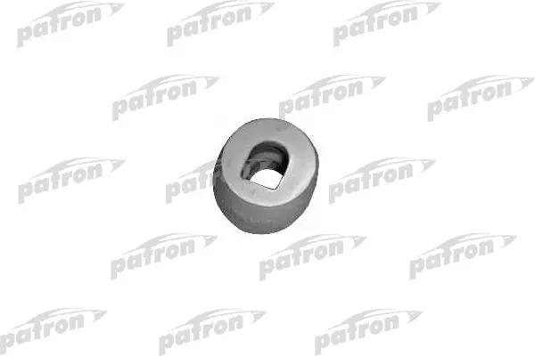 PSE3531  