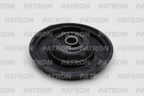 PSE4166  