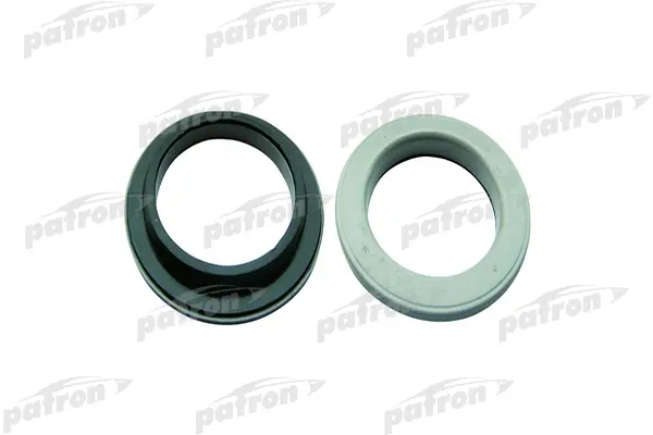 PSE4408  