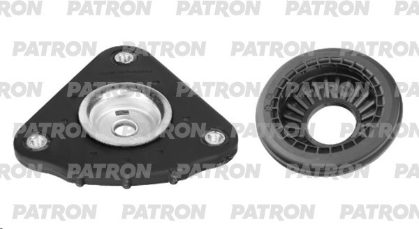 PSE4466  