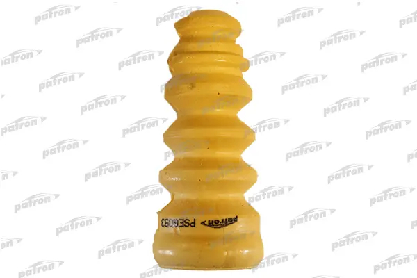 PSE6093  