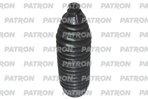 PSE6365  