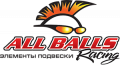 Автозапчасти ALL BALLS RACING
