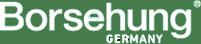 Borsehung